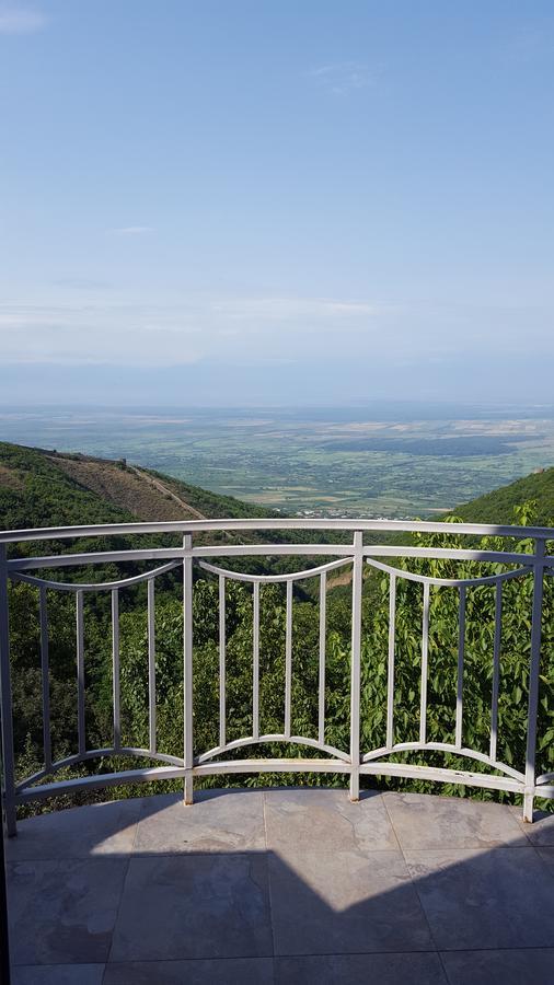 Zandarashvili Guest House Sighnaghi Exterior photo